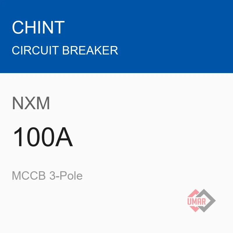 Chint NXM 100A MCCB 3-Pole