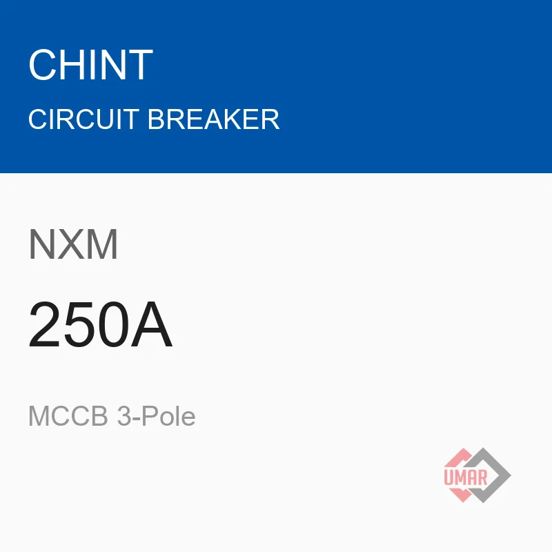 Chint NXM 250A MCCB 3-Pole
