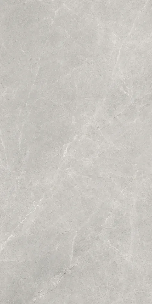 Ghani Arctic Silver Polished Porcelain Tile variant 2