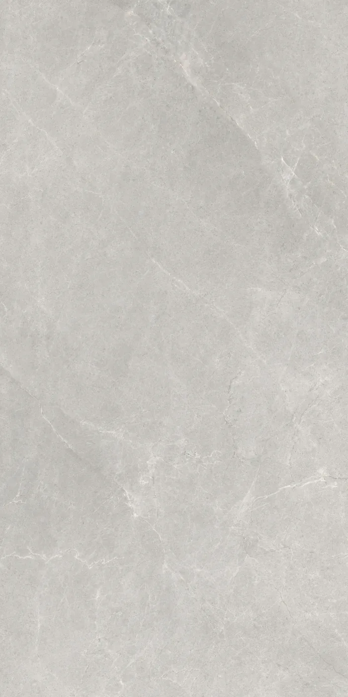 Ghani Arctic Silver Polished Porcelain Tile