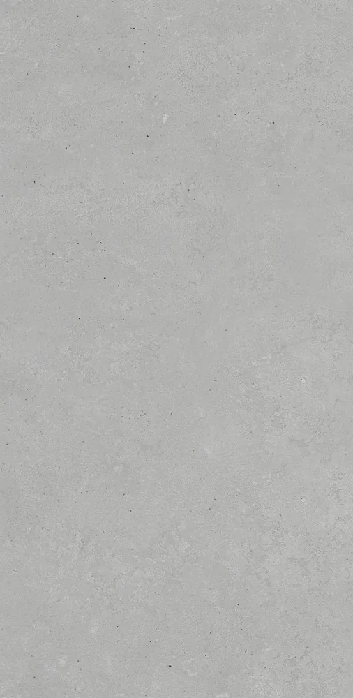Ghani Argentix Matt Porcelain Tile variant 2