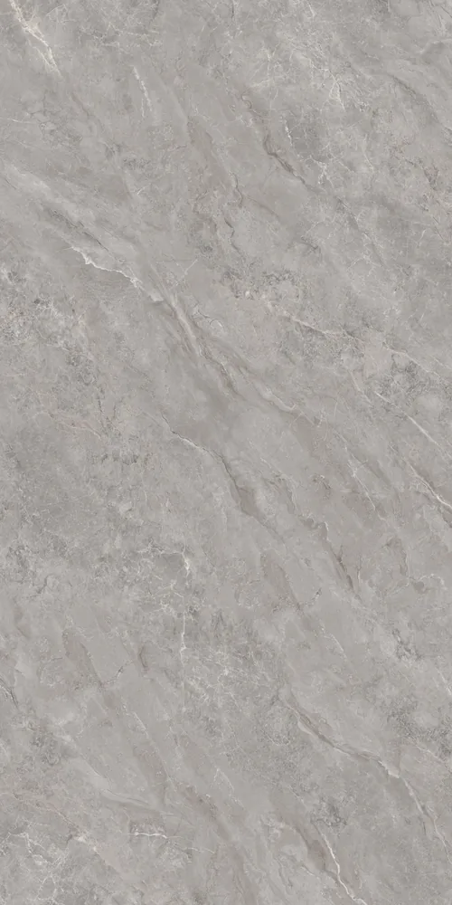 Ghani Fossil Grey Polished Porcelain Tile variant 2