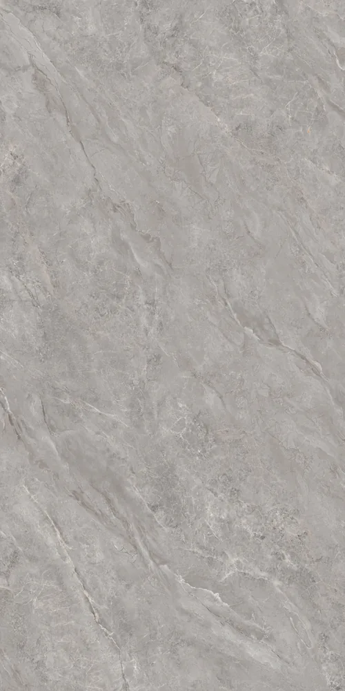 Ghani Fossil Grey Polished Porcelain Tile variant 3