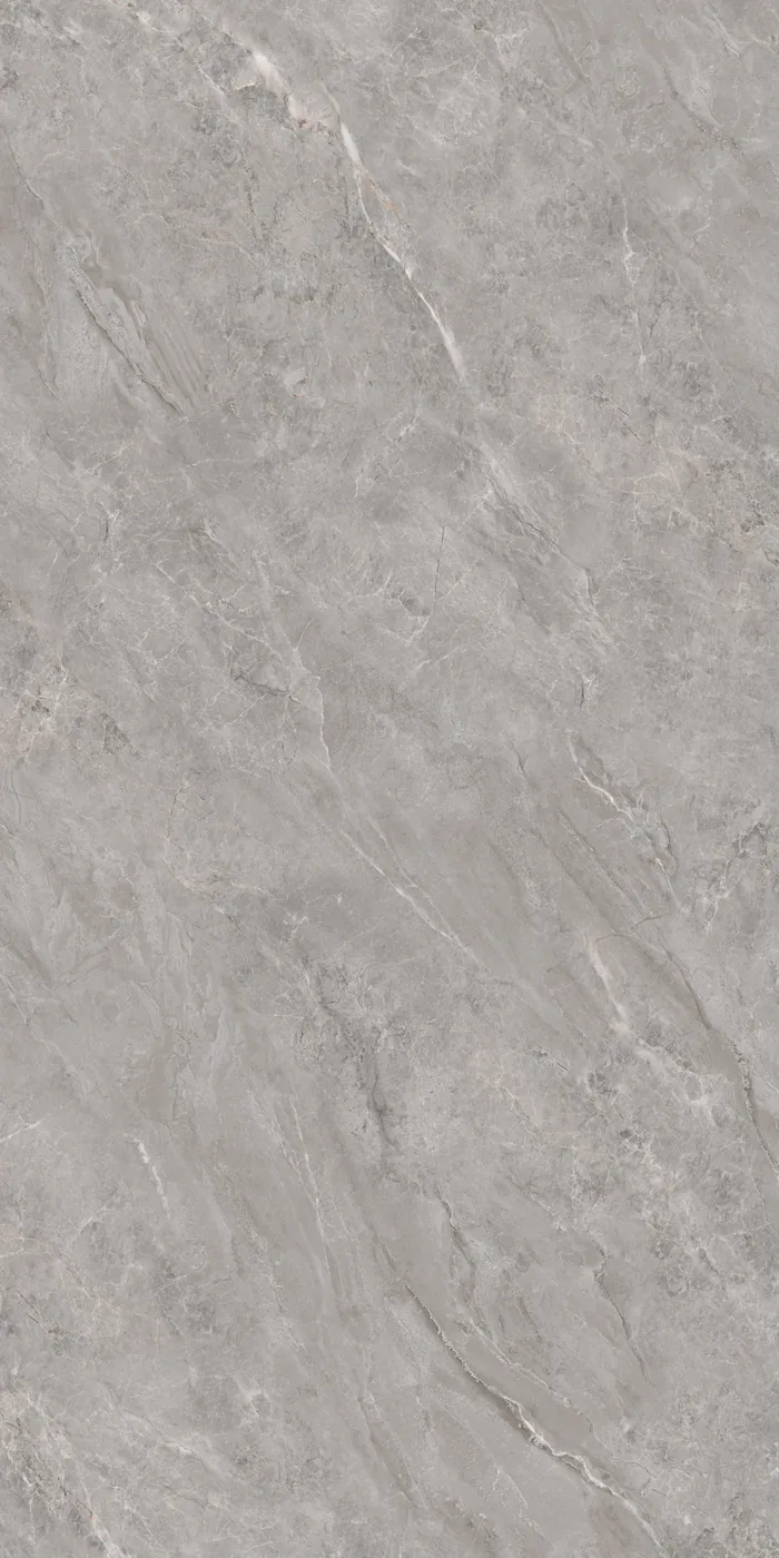 Ghani Fossil Grey Polished Porcelain Tile