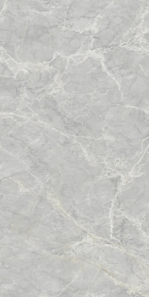 Ghani Grey Carrara Polished Porcelain Tile variant 3