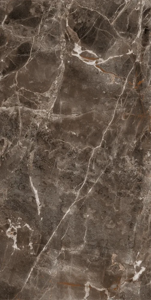 Ghani Walnut Marble Polished Porcelain Tile variant 3